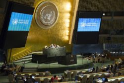 UN Vollversammlung am 19. Oktober zum Gedenken des 50. Jahrestages des UN-Sozialpakts