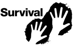 Logo Survival International