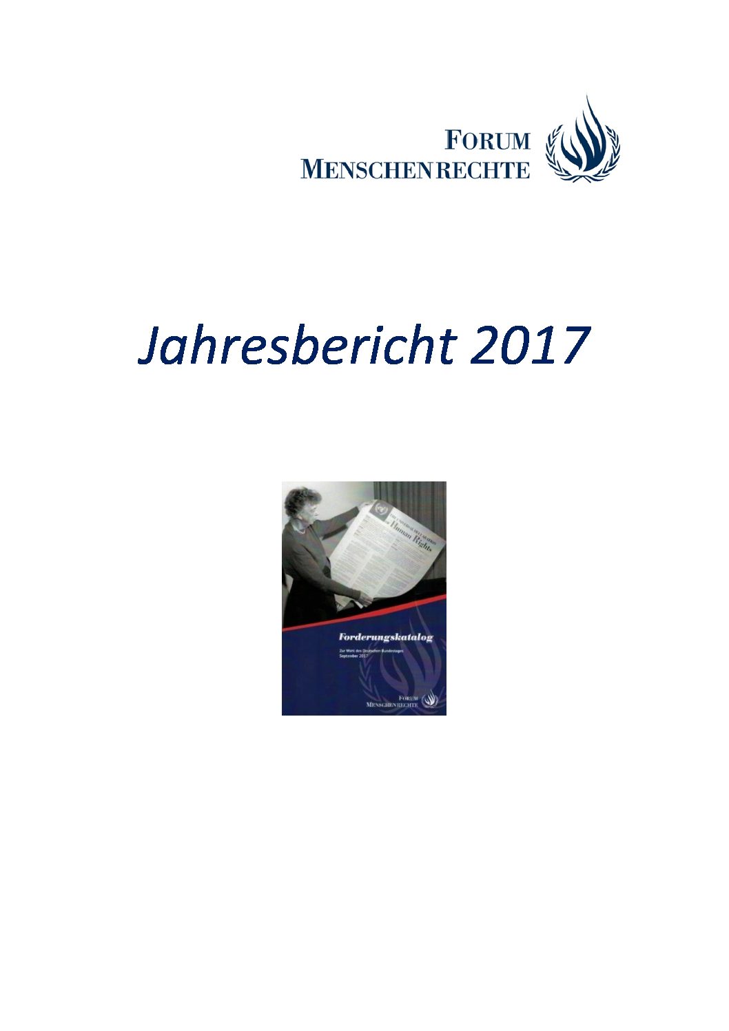 Titelbild des Jahresberichts des Forum Menschenrechte 2017.